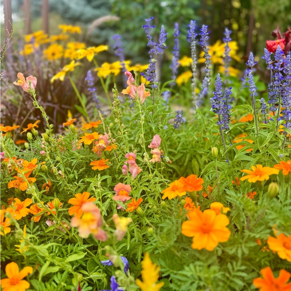 Meet your Posher, Jill